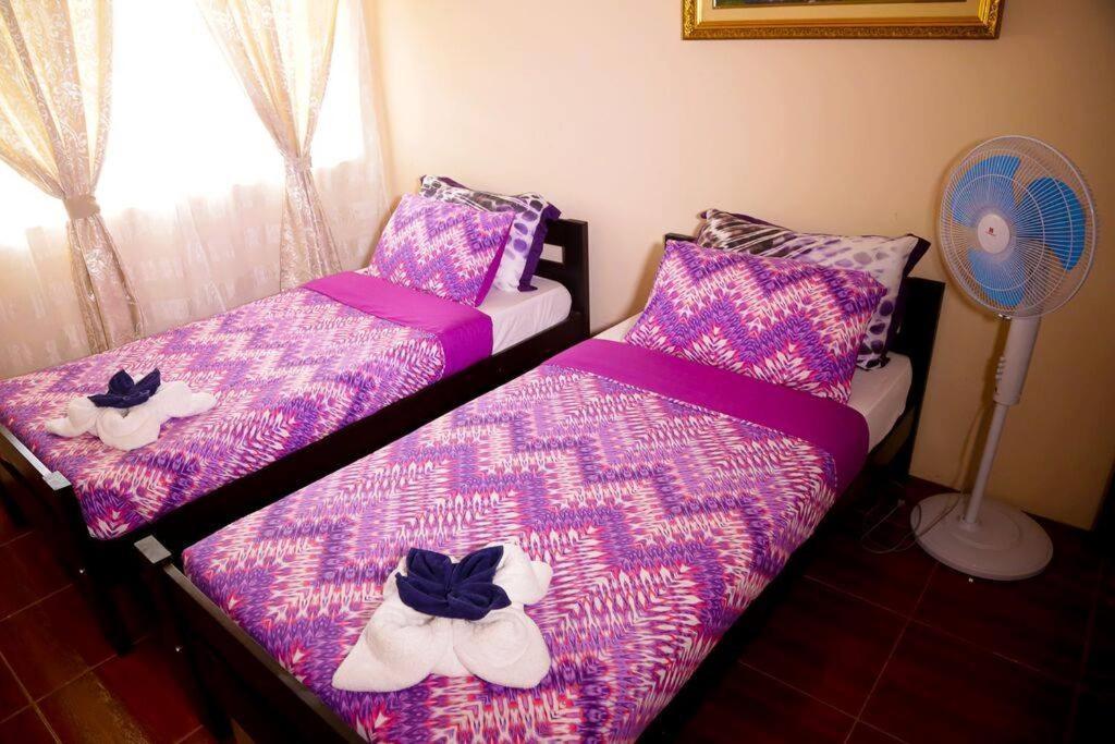 Florabells Iraya Guest House - Batanes Basco Buitenkant foto